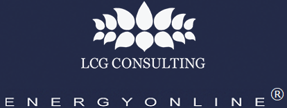 LCG Consulting